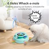 GoldenSun 3-in-1 Interactive Cat Toy Rechargeable Power Toy with 6 Attachments view 5