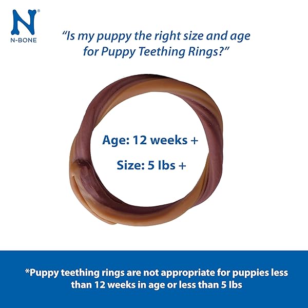 N-BONE PUPPY TEETHING RINGS GRAIN-FREE BLUEBERRY & BBQ FLAVOR DOG TREAT, 6 COUNT BAG, 7.2-OZ