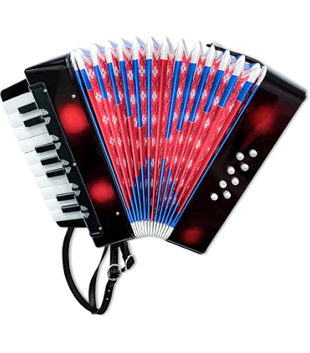 Amazon.com: MECCANIXITY Accordion 10 Keys Piano Accordion Mini