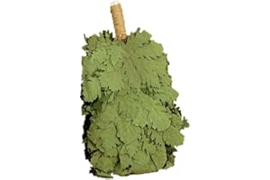 Eksmo Traditional Professional Russian Caucasian Oak Whisk Venik Broom Bath for Sauna Banya Wenik Organic Massage Веник для бани [1 pcs]