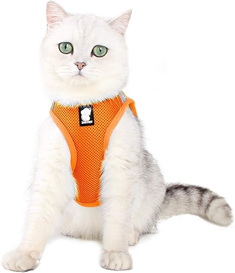 Dotoner Harnais Et Laisse Pour Chat Ultra Leger Col Chaton Doux Et Confortable Veste De Marche Pour Chat Course A Pied Antifuite Convient Pour Chiots Lapins Oran2 M Amazon Fr Animalerie