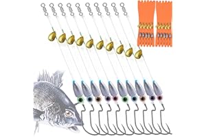 DAMIDEL 10Pcs Fishing Bullet Weights Texas Rigs Ready Kit,Worms, Sinker (10g/7g/5g), Worm Hooks, Carbon line,Spinner Blades，Eye Beads Bait, Fishing Bass Rig Saltwater Freshwater