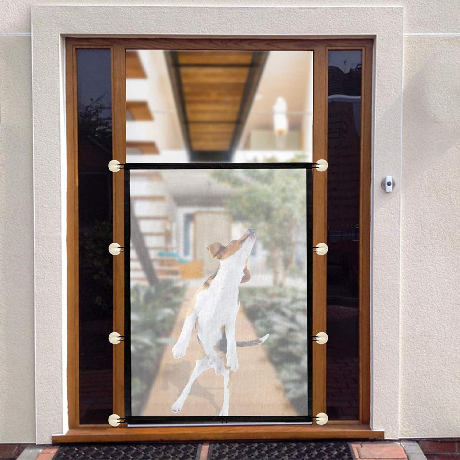 portable dog door