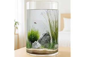 Maxdot 3.2 Gallon Cylindrical Glass Fish Tank Solid Base, 360° Full View Desktop Aquarium Starter, Easy to Maintain Small Microfauna for Betta Snails Shrimp Aquatic Planting and Small Plant Terrarium