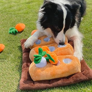 印刷可能 犬 知育玩具 にんじん 犬 知育玩具 ニンジン Okepictnp3x