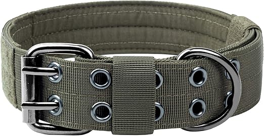 dog collars with 2 d rings