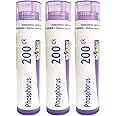 Boiron Phosphorus 200ck Homeopathic Medicine for Dizziness with Sleeplessness - Pack of 3 (240 Pellets)