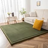 MAXYOYO Coral Velvet Area Rug, Thick Japanese