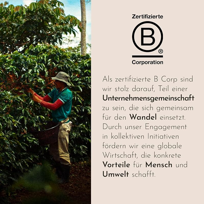 , Kaffeebohnen INTENSO, 1 Dose mit 250g
