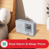 LEMEGA IR1 Internet Radio DAB Portable Bluetooth 60 Presets Grey view 3