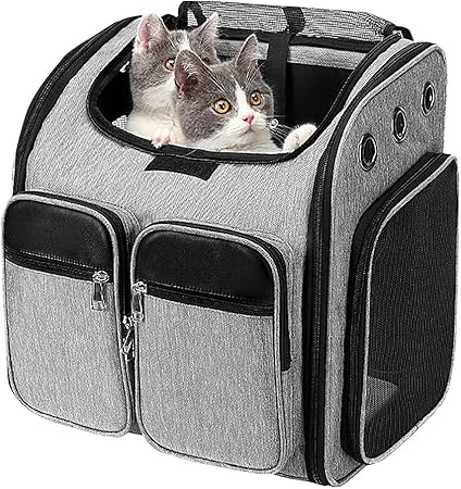we heart cats carrier