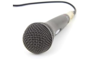 Autotune Voice Simulator