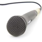 Autotune Voice Simulator