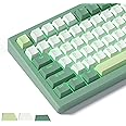 Womier Shine Through Keycaps, PBT Keycaps 60 65 75 100 Percent Cherry Profile Custom Key caps Set for Cherry Gateron MX Switches Mechanical Keyboard-Green Creamy