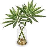 Artificial Plants Stems in Glass Vase with Faux Water,Fake Silk Plant Dracaena Leaves for Centerpiece Table Decorations Farmhouse Wedding Home Greenery Decor (Green and Yellow)