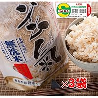 【新米】佐賀県産 減農薬・特別栽培　発芽玄米 玄氣（げんき）1.5㎏（真空パック）×3袋【無洗米】