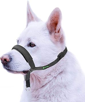 anti pull head collar