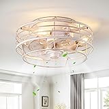 Youroke Ceiling Fan with Light and Remote, Modern