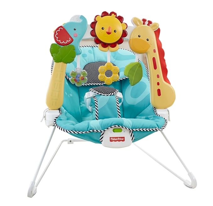 fisher and price bouncer