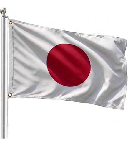 Amazon.com : AZ FLAG - Japan Flag - 2x3 Ft - 100D Polyester