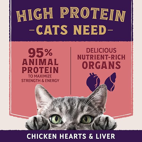 NATURAL BALANCE ULTRA PROTEIN PLUS WET CAT FOOD, SKIN & COAT AND DIGESTIVE HEALTH REAL SALMON WITH PUMPKIN PUREE TOPPER WITH CHICKEN LIVER & CHICKEN HEART, HIGH PROTEIN CAT FOOD – 2.4 OZ. (PACK OF 24)