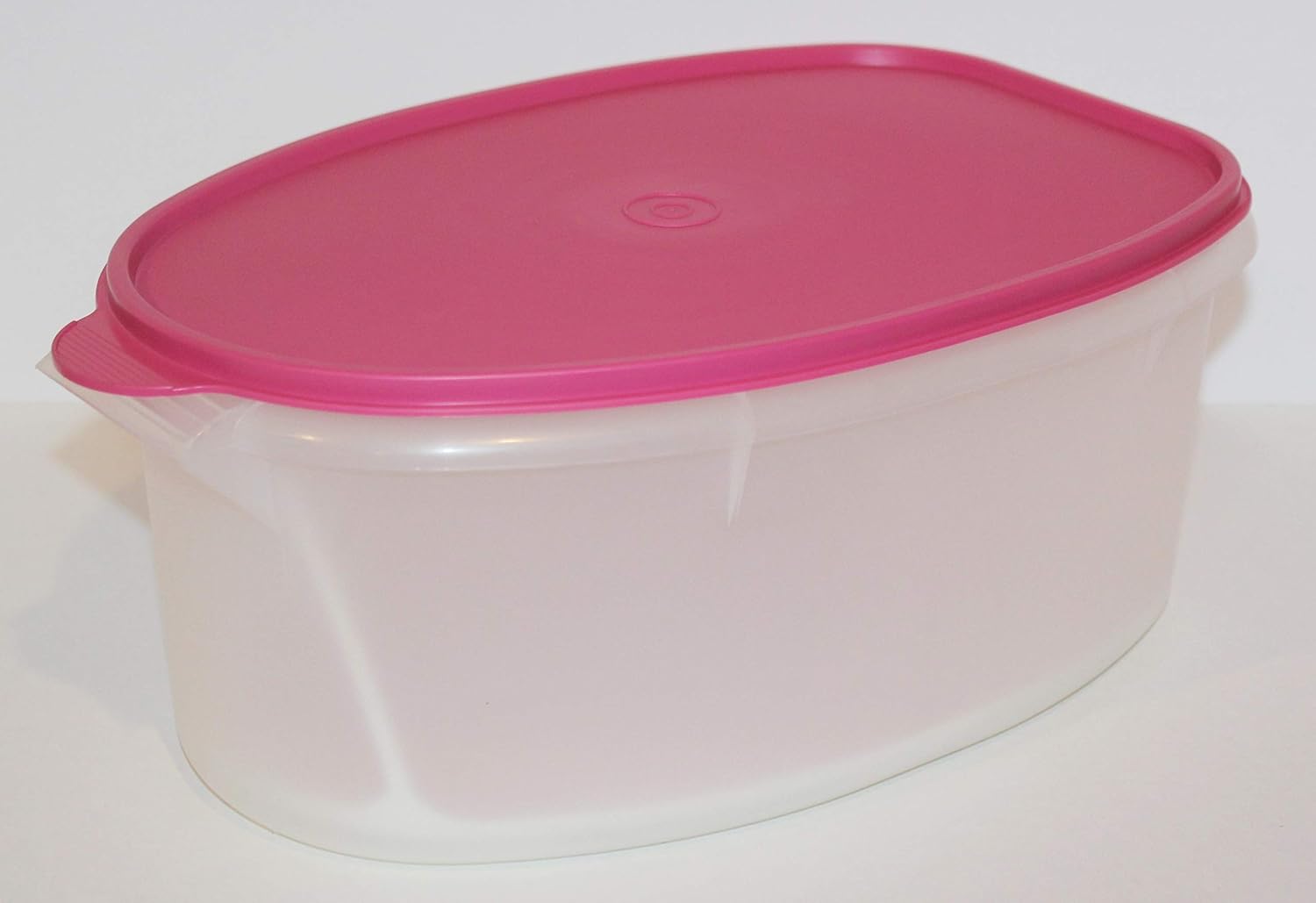 Tupperware Flavor Saver Turkey Ham Roast Chicken Keeper Storage