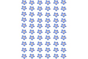 MUCBAFLY 60 Pieces Don't Forget Me Dried Flowers, Dried Flower Real Dried Pressed Flowers for Jewelry Candle Card Making DIY Resin Ornaments Nail Art Flowers Decorations (Don't Forget Me)