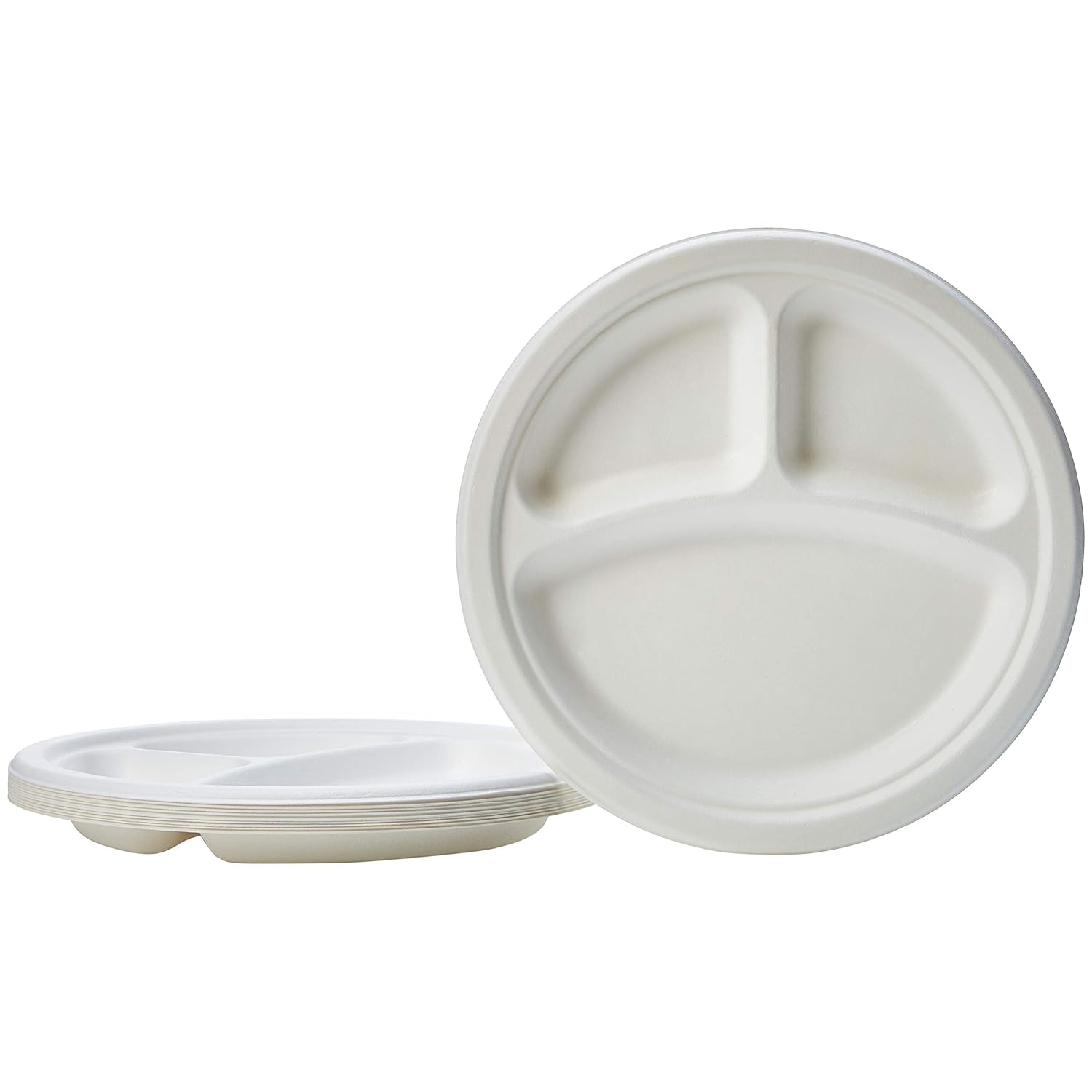 Basics Compostable Plates, 9-Inch, Pack of 500: Industrial & Scientific