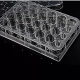 Scienfocus Lab 24 Well Culture Plate Transparent Injection Molded Pack 10 view 5