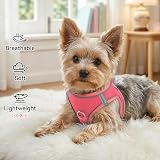 Joytale XXS Step in Dog Harness Pink Reflective Mesh Easy Walk view 4