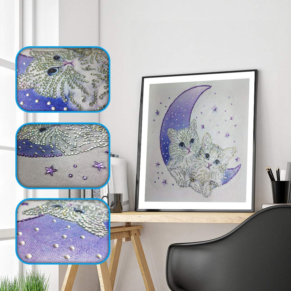 海外最新 certainPL 特殊形状 部分的ドリル 5D ダイヤモンド絵画キット 