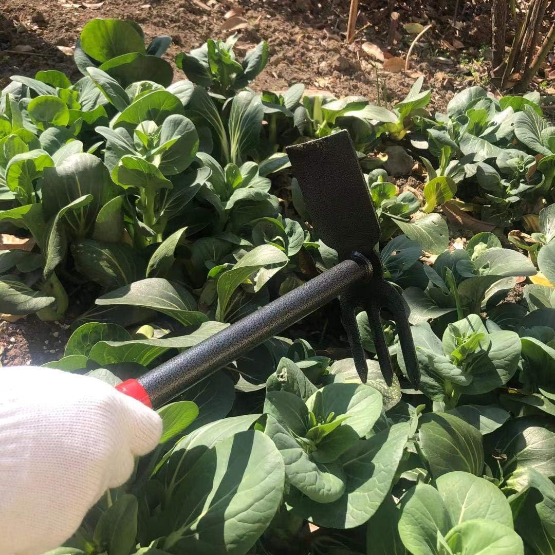 ZOG Garden Small Hand Digger and Hoe Combo Garden Tool, Multipurpose Garden Hoe and Cultivato, Strong & Sharp Hoeing and Loosening Soil Hand Tool, Bend Proof, Non-Slip Handle & Anti-Rust Head (Small-1) : Garden & Outdoor