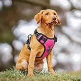 HEELE No Pull Dog Harness XL Reflective Front Back Leash Attachments Fuchsia view 3