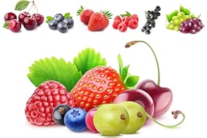Mix Fruit Seeds for Planting - 6 Types Strawberries Grape Raspberries Blueberry Elderberry Cherry Seeds 560+ Heirloom for Hom