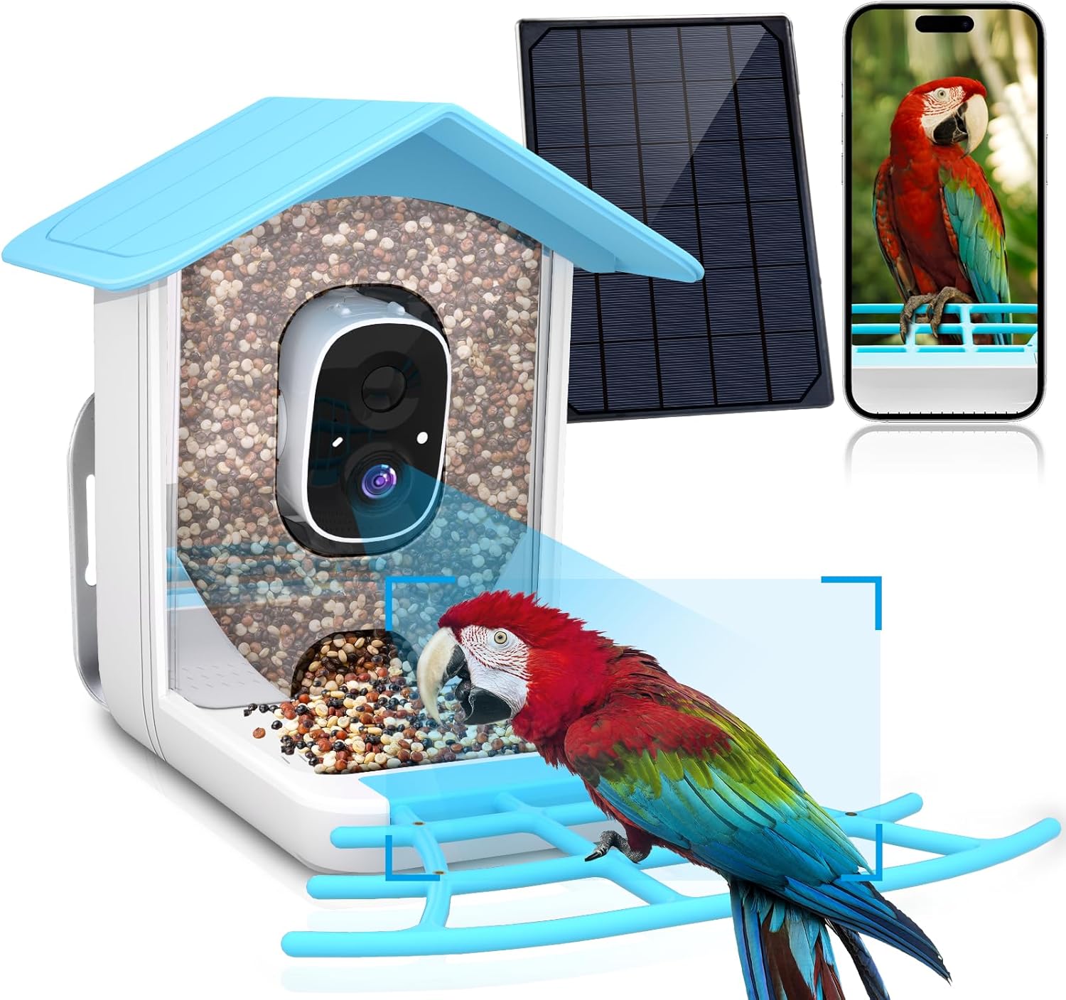 Backyard Birding & Wildlife - Bird Feeder with Camera, Wireless Camera Ideal Gift for Bird Lover