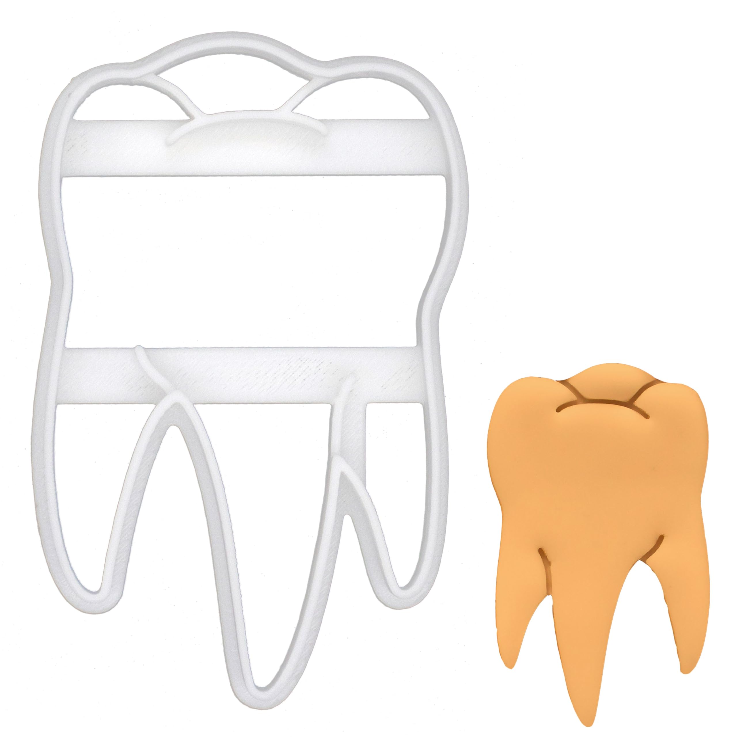BAKERLOGY Realistic Molar Tooth Cookie Cutter - Detailed Biscuit Cutter Design for Baking and Crafts, Ideal on Fondant, Dough, Clay