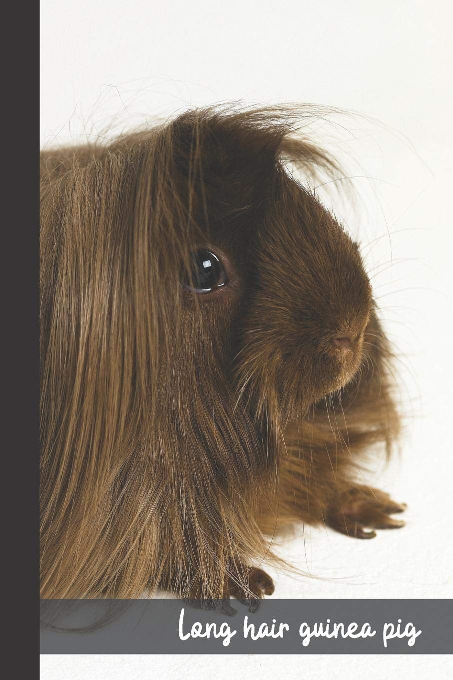 Long Hair Guinea Pig Small Lined Guinea Pig Notebook Travel