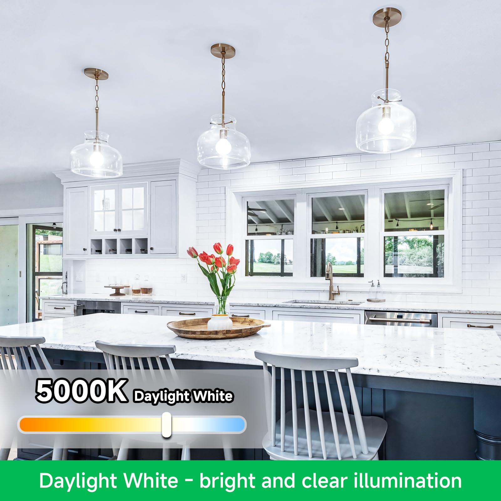 MAXvolador 12-Pack A19 LED Light Bulbs, 100 Watt Equivalent LED Bulb, 5000K Daylight White, 1100 Lumens, E26 Medium Base, CRI 85+, Non-Dimmable