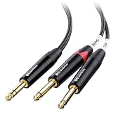 Cable Matters 6.35mm TRS to Dual TS Insert Cable, 6ft | 1/4 TRS to 2 TS Cable, Balanced/Unbalanced Insert Cable, Oxygen-Free Copper