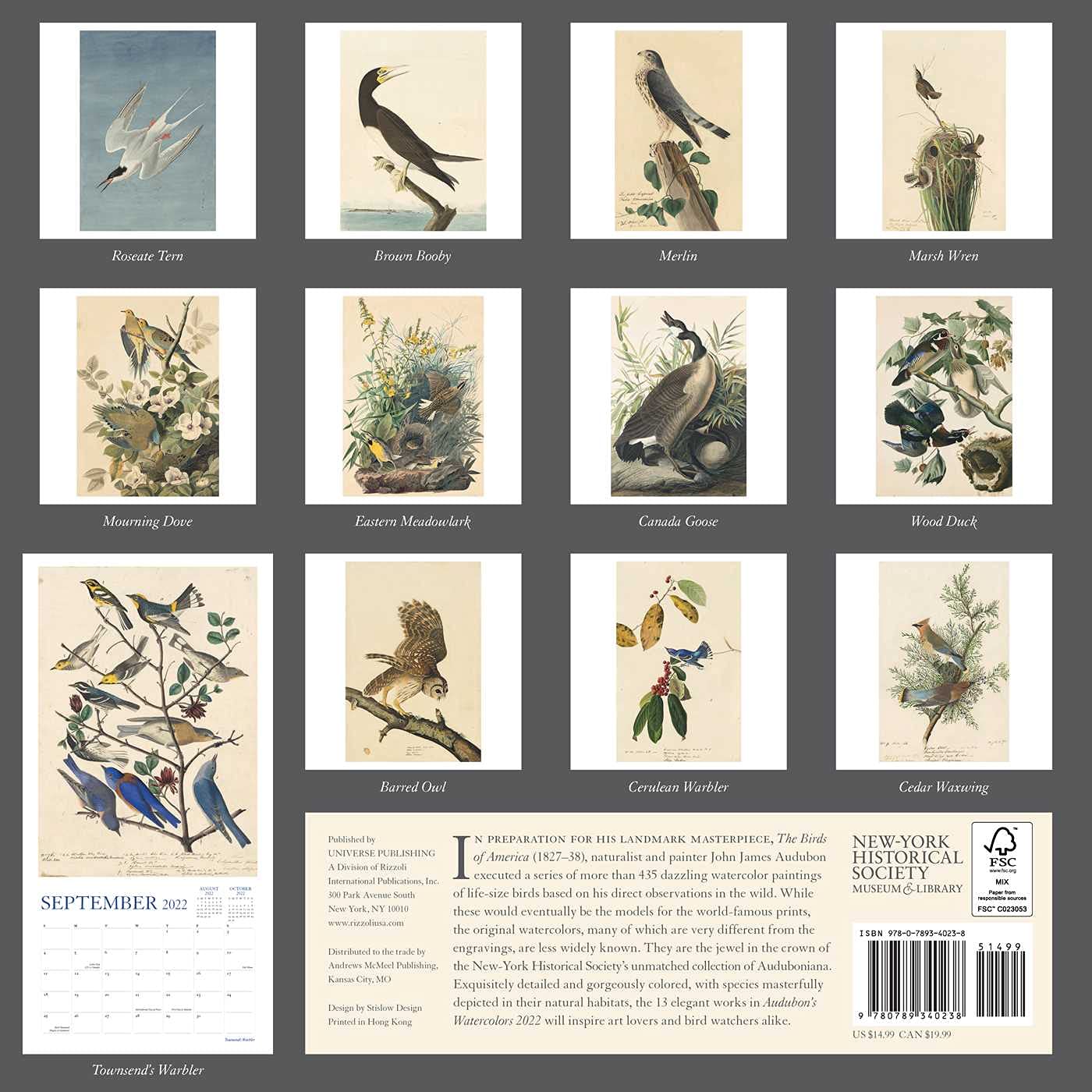 Audubon Bird Calendar 2022 Audubon's Watercolors 2022 Wall Calendar: The Original Birds Of America:  New-York Historical Society The: 9780789340238: Amazon.com: Books