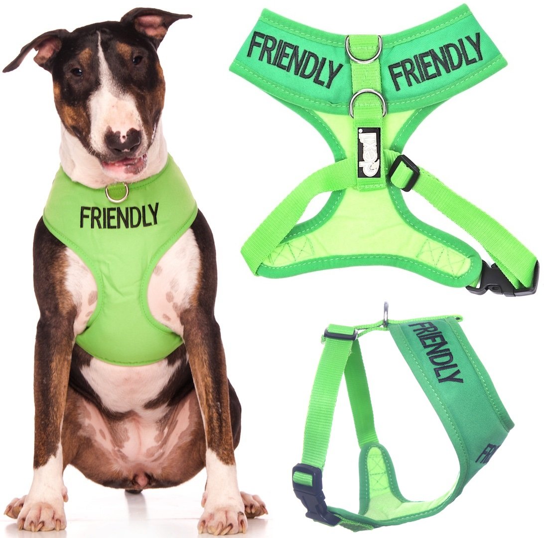 Dexil FRIENDLY (Known as Friendly to all) Green Colour Coded Non-Pull Front and Back D Ring Padded and Waterproof Vest Dog Harness PREVENTS Accidents By Warning Others Of Your Dog In Advance (L)