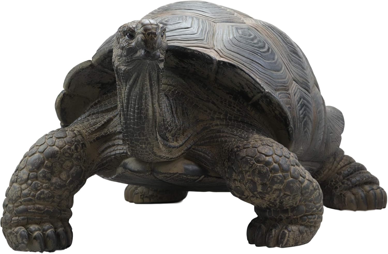 Amazon Com Ebros Gift Realistic Lifelike Galapagos Giant