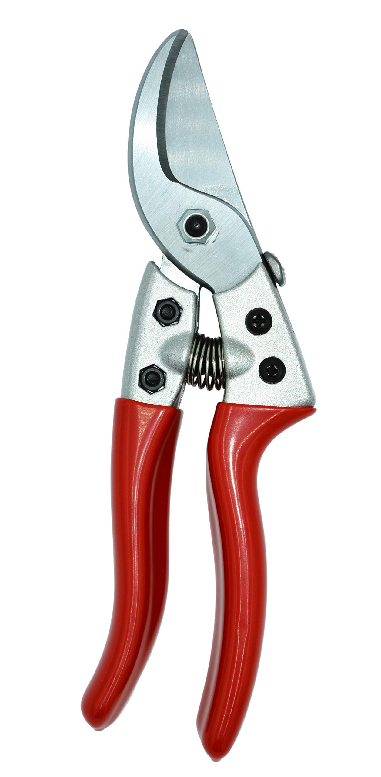Product Photo 2