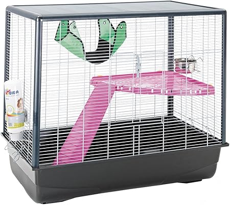 lemon dalmatian puppy