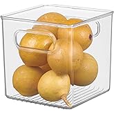 iDesign Plastic Fridge and Freezer Storage Organizer Cube Bin With Handles, Clear Container for Food, Drinks, Produce Organiz