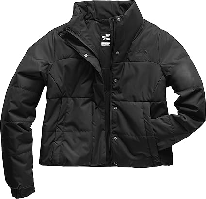 the north face femtastic insulated jacket