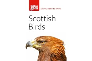 Scottish Birds: Your essential field guide to common Scottish birds