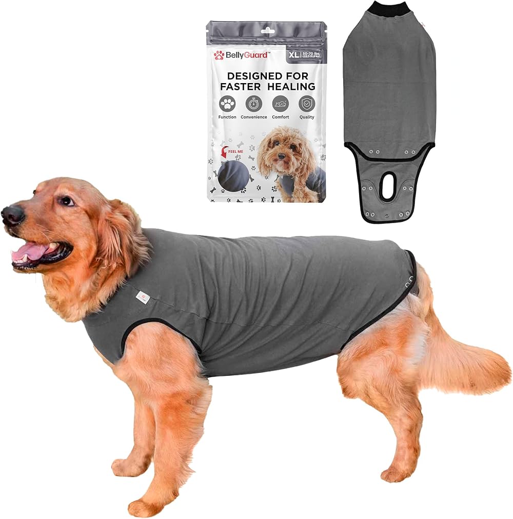 BellyGuard Dog Recovery Onesie X-Large Grey Cone Alternative