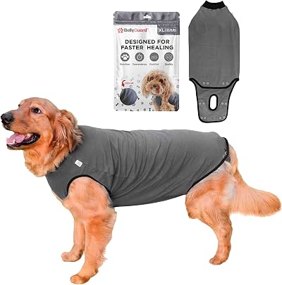 BellyGuard Dog Recovery Onesie X-Large Grey Cone Alternative