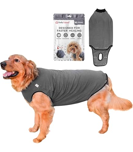 Shark Onesie Shed Defender Recovery Suit For Dogs